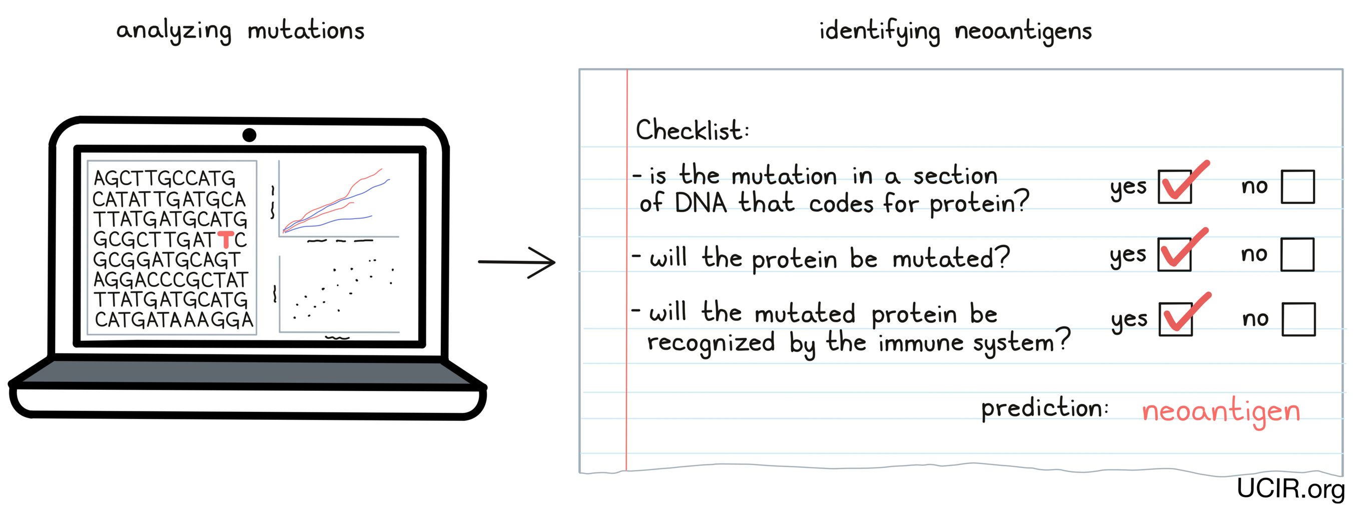 Identifying neoantigens