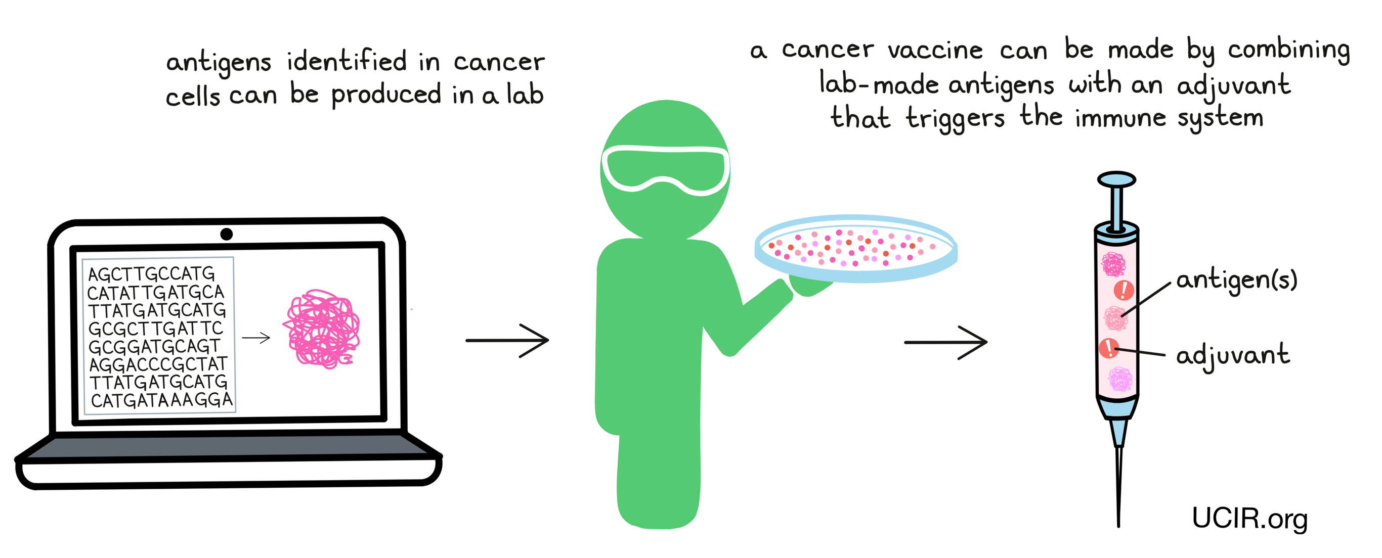 Making the vaccine