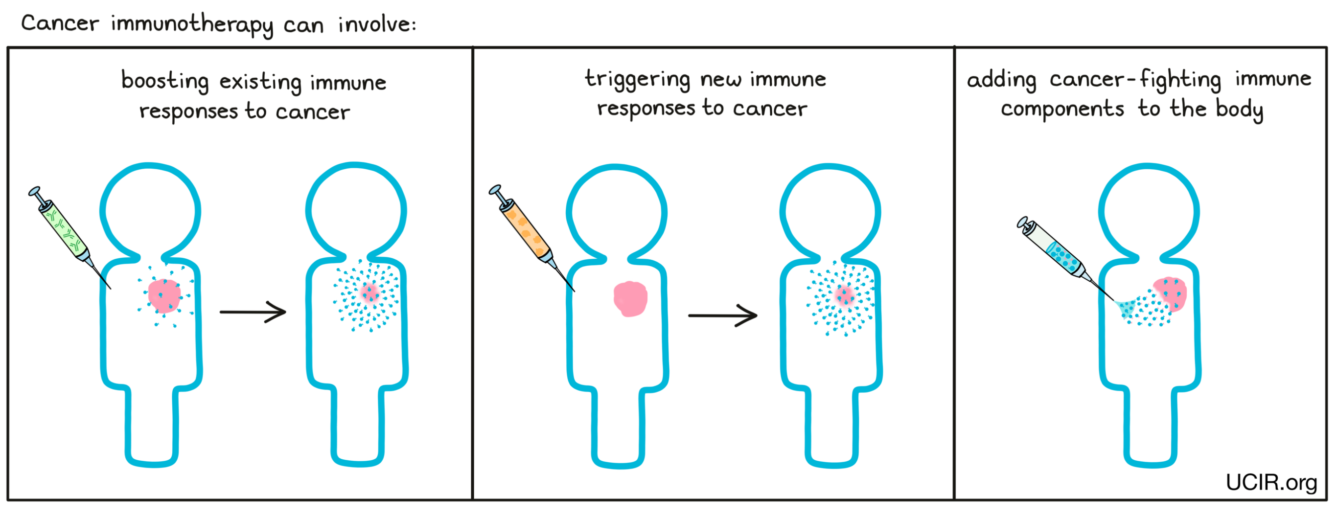 Depiction of cancer immunotherapy methods