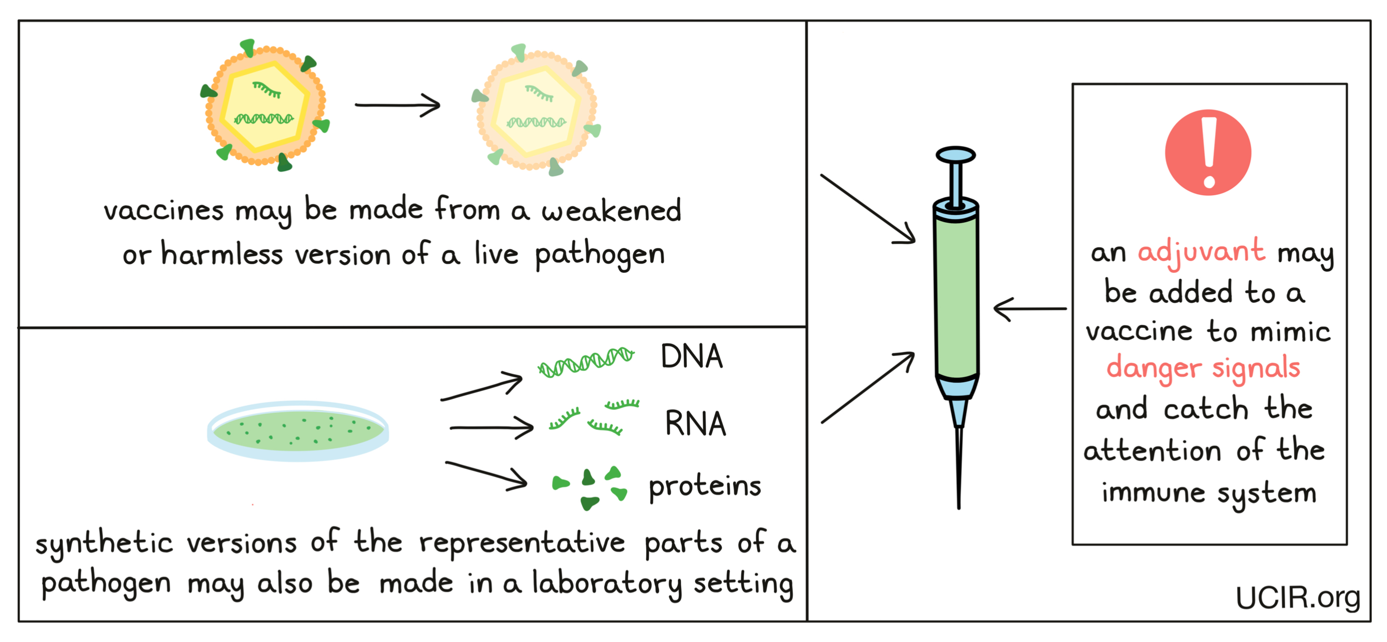 Vaccines can be created in a variety of different ways