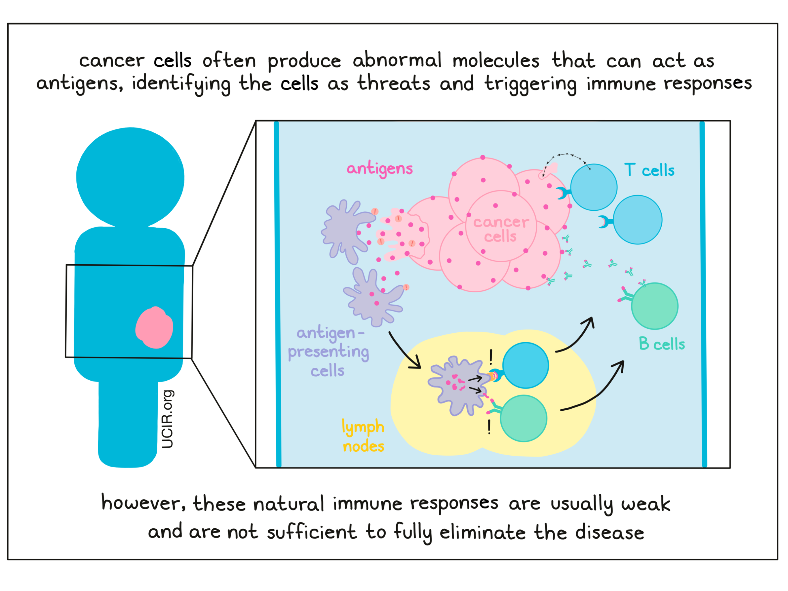 Cancer cells often produce abnormal molecules