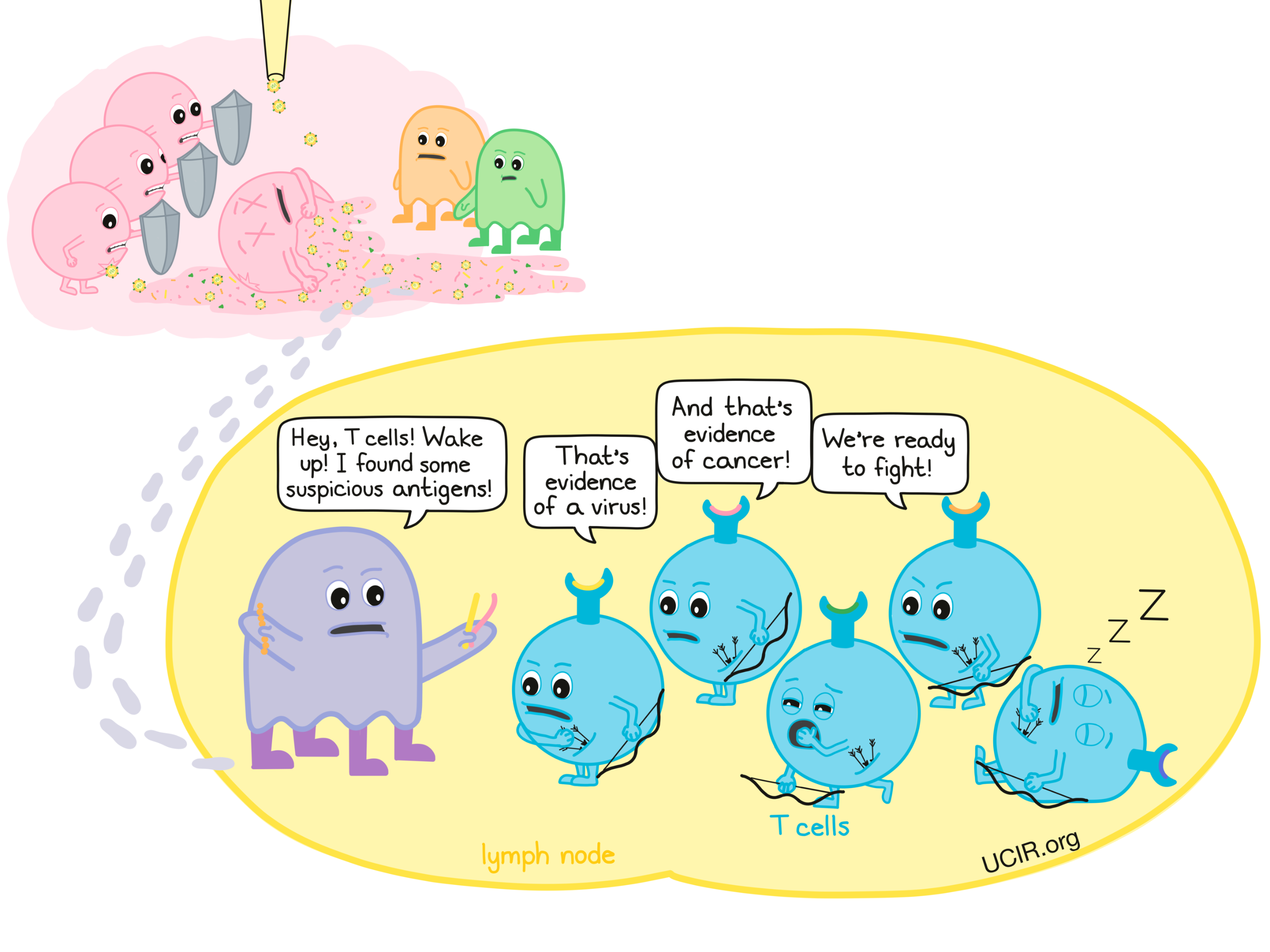 Oncolytic virus initiating T cell response