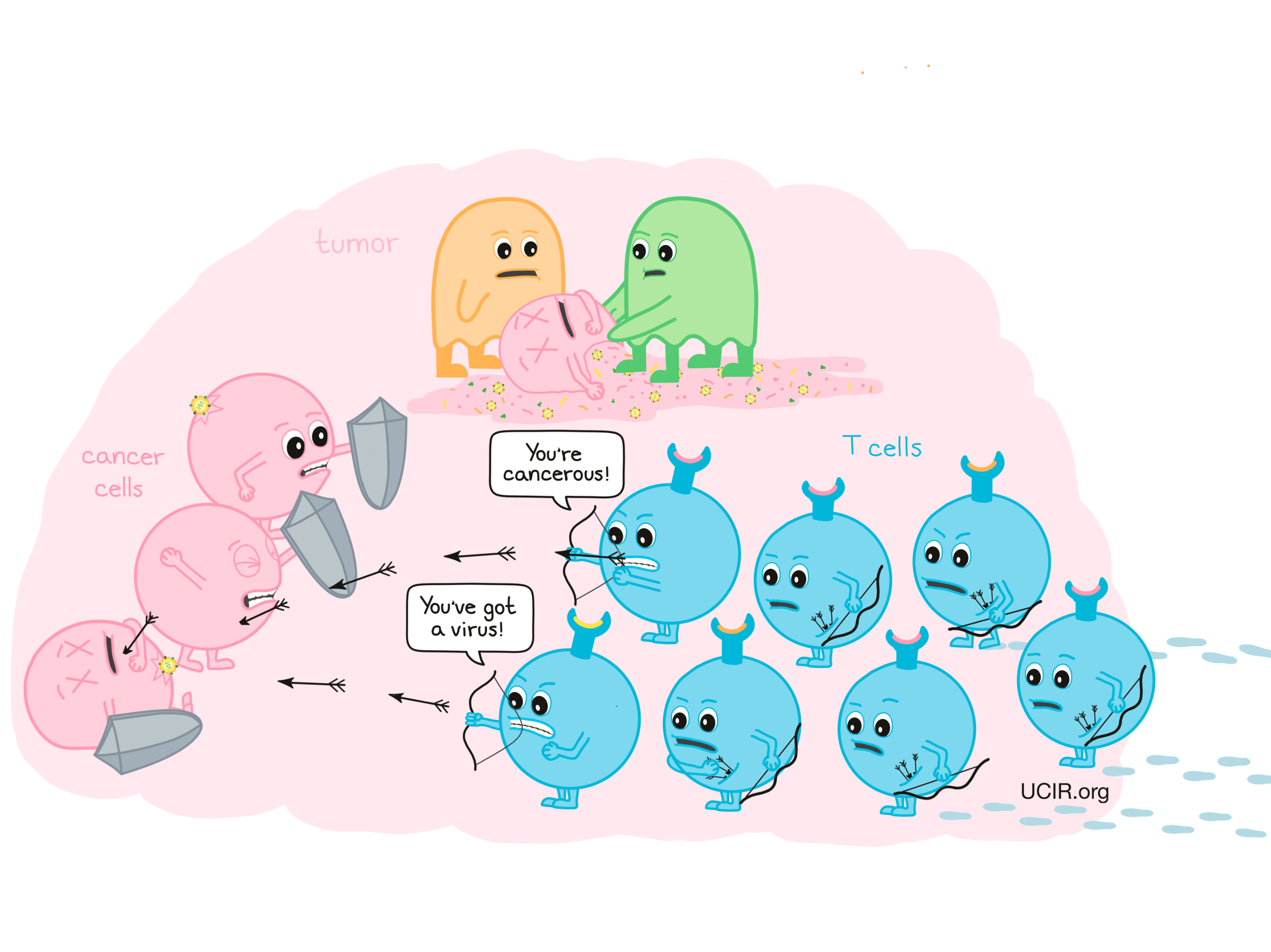 T cell response to oncolytic virus