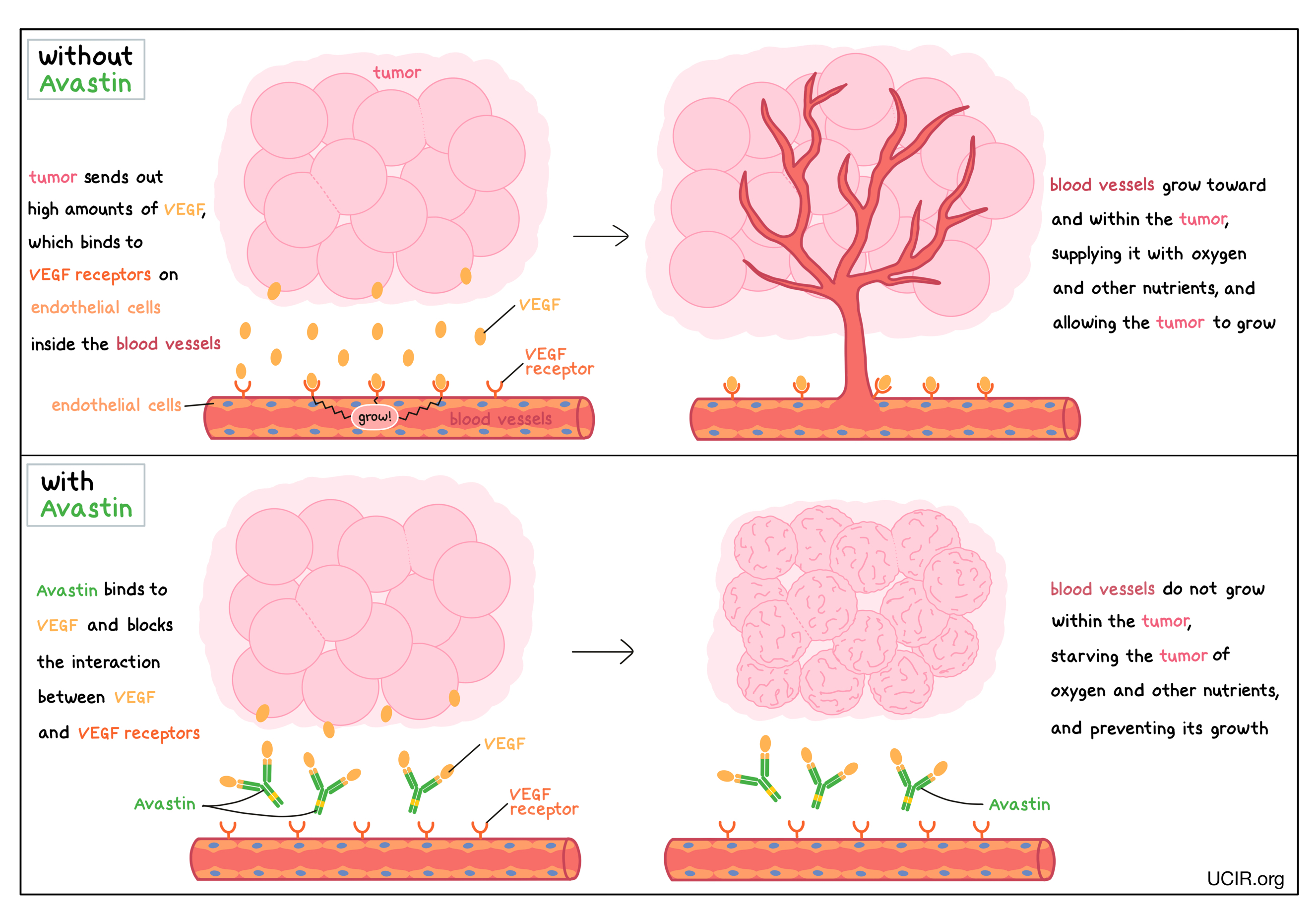 How Avastin works