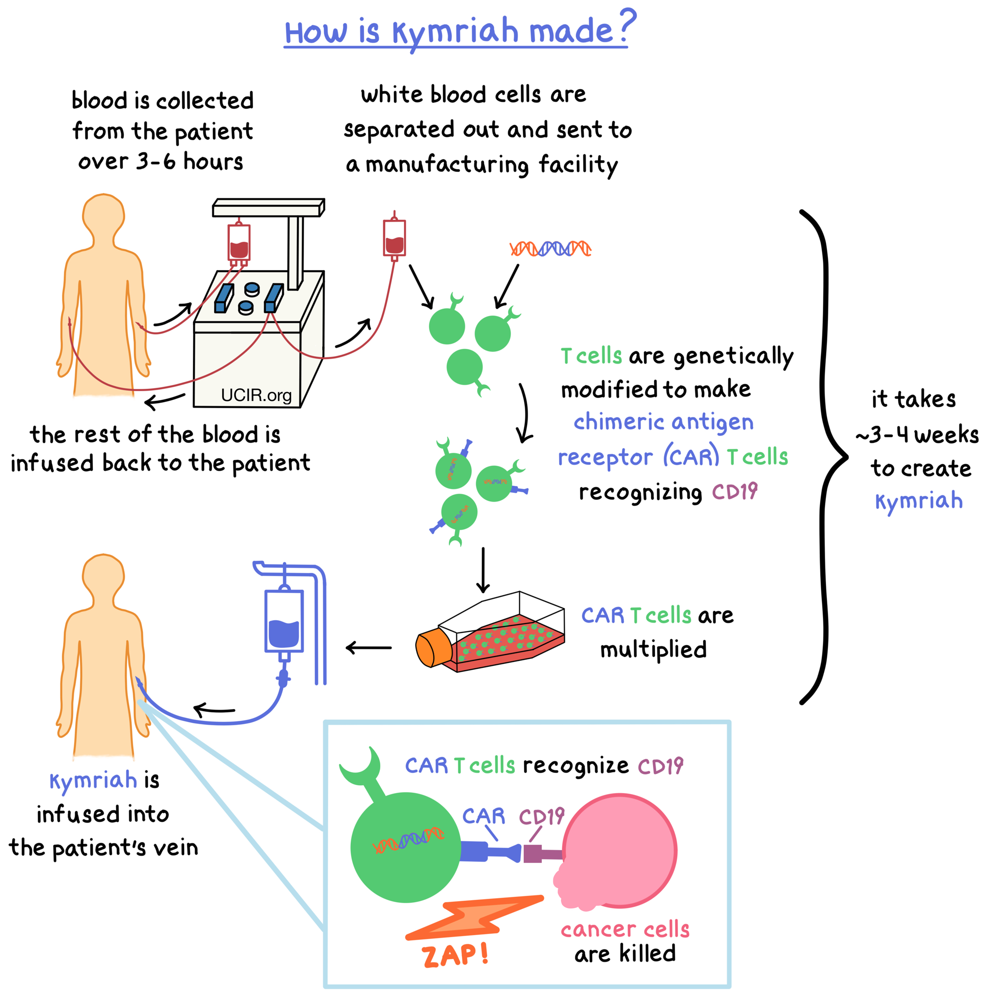 Detailed illustration on how Kymirah is made 