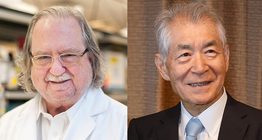 Nobel Prize recognizes the significance of cancer immunotherapy