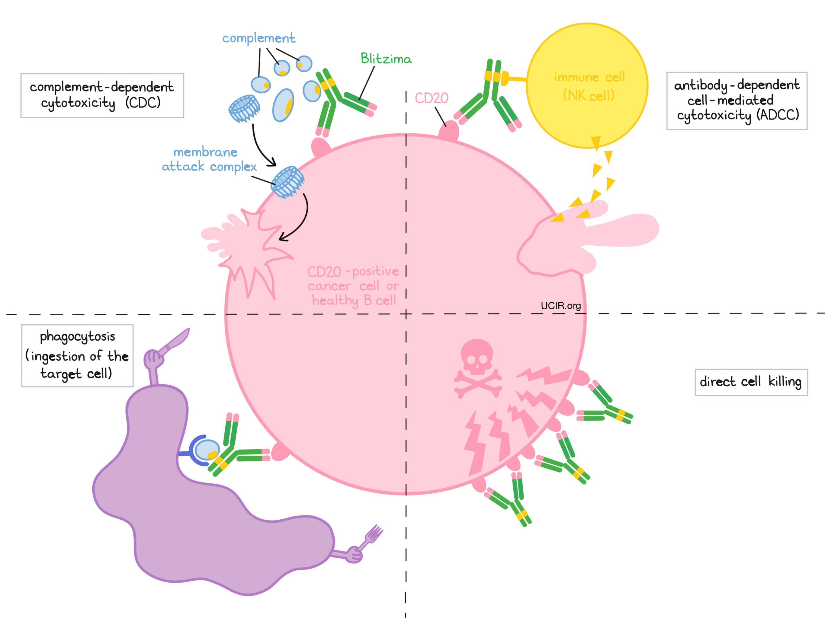 Illustration showing how Blitzima works