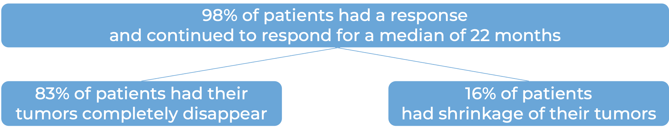 Results after treatment with Carvykti (diagram)