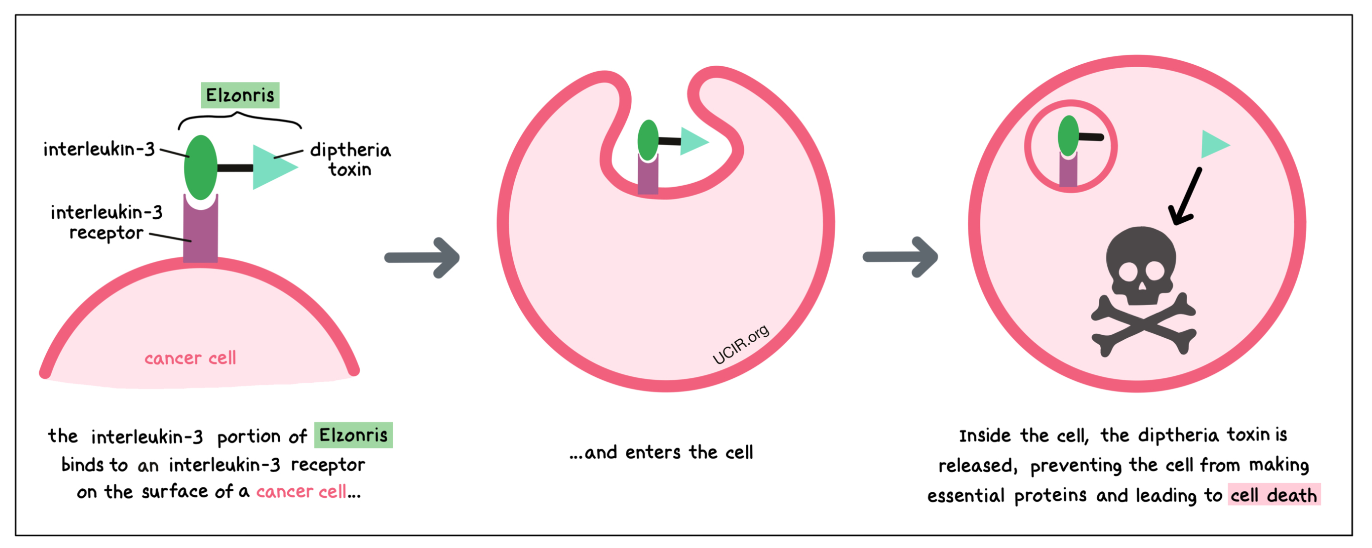 Illustration showing how Elzonris works