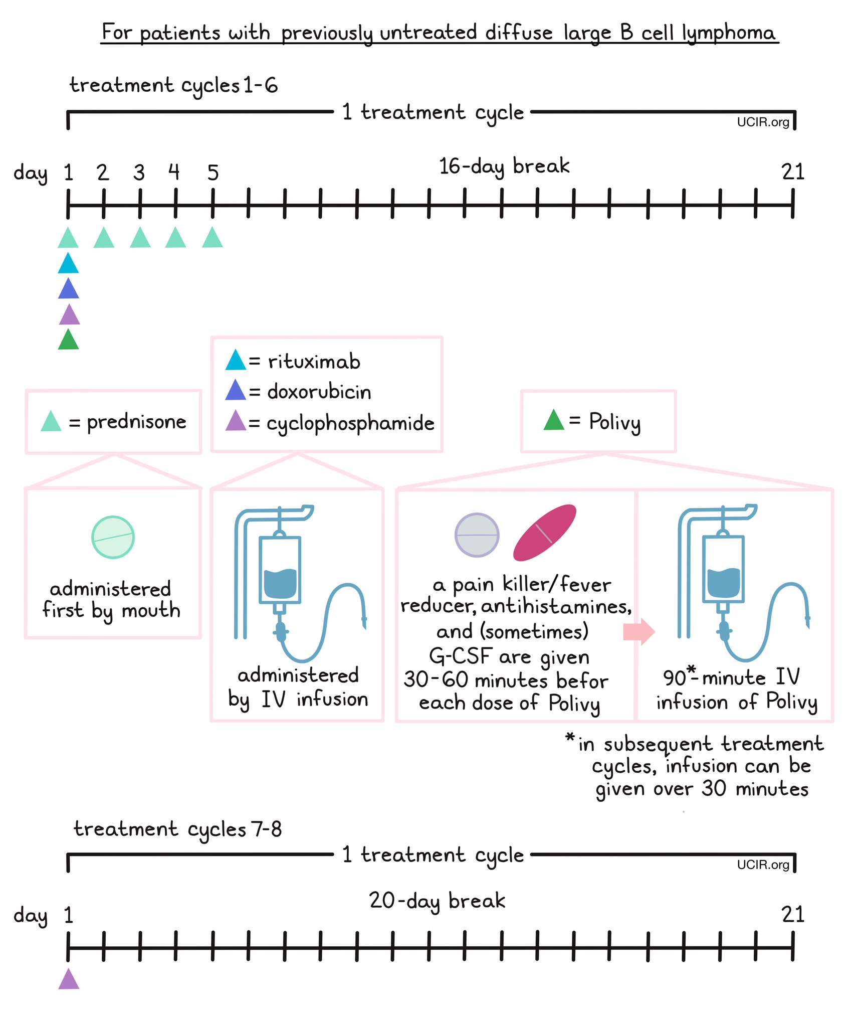 Illustration showing how Polivy is administered to patients with previously untreated diffuse large B cell lymphoma