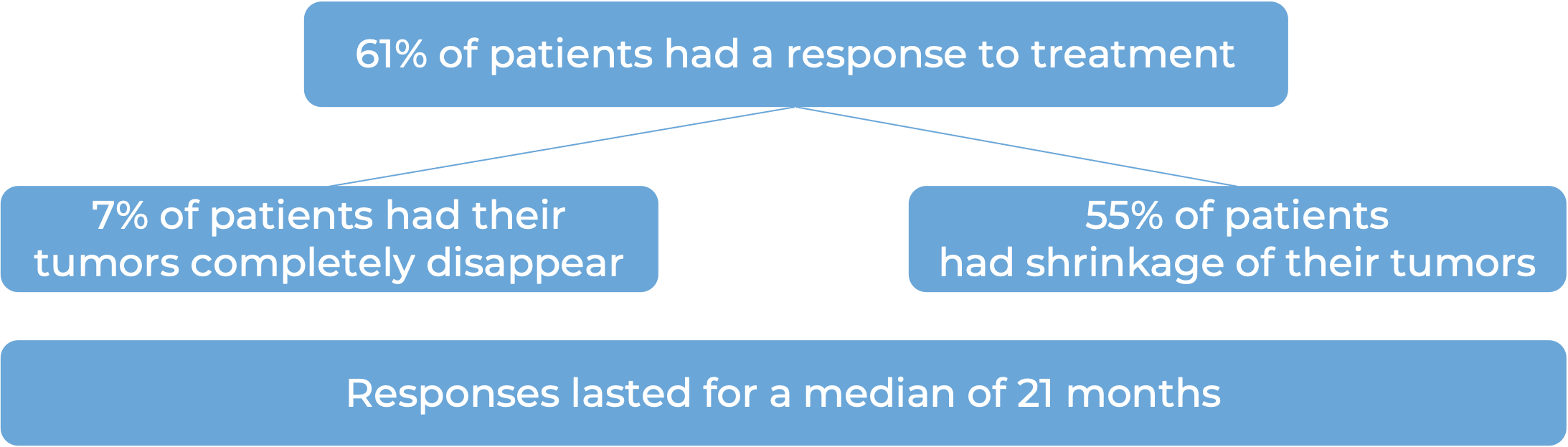 Results after treatment with Enhertu (diagram)