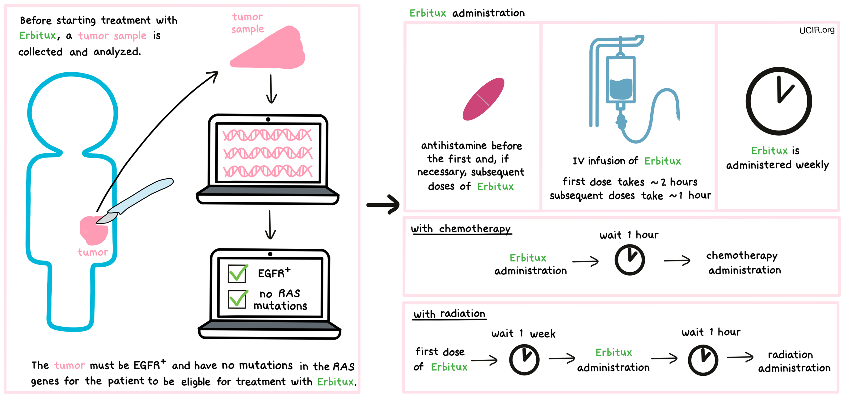 Illustration showing how Erbitux is administered to patients