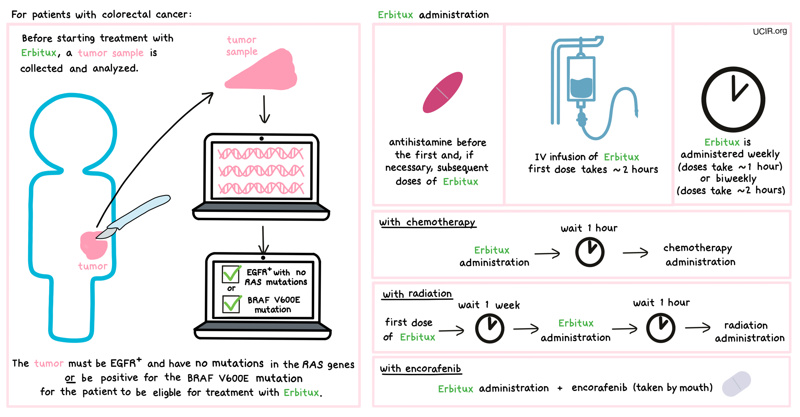 Illustration showing how Erbitux is administered to patients