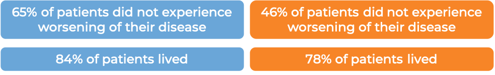 Results after 20 months (diagram)