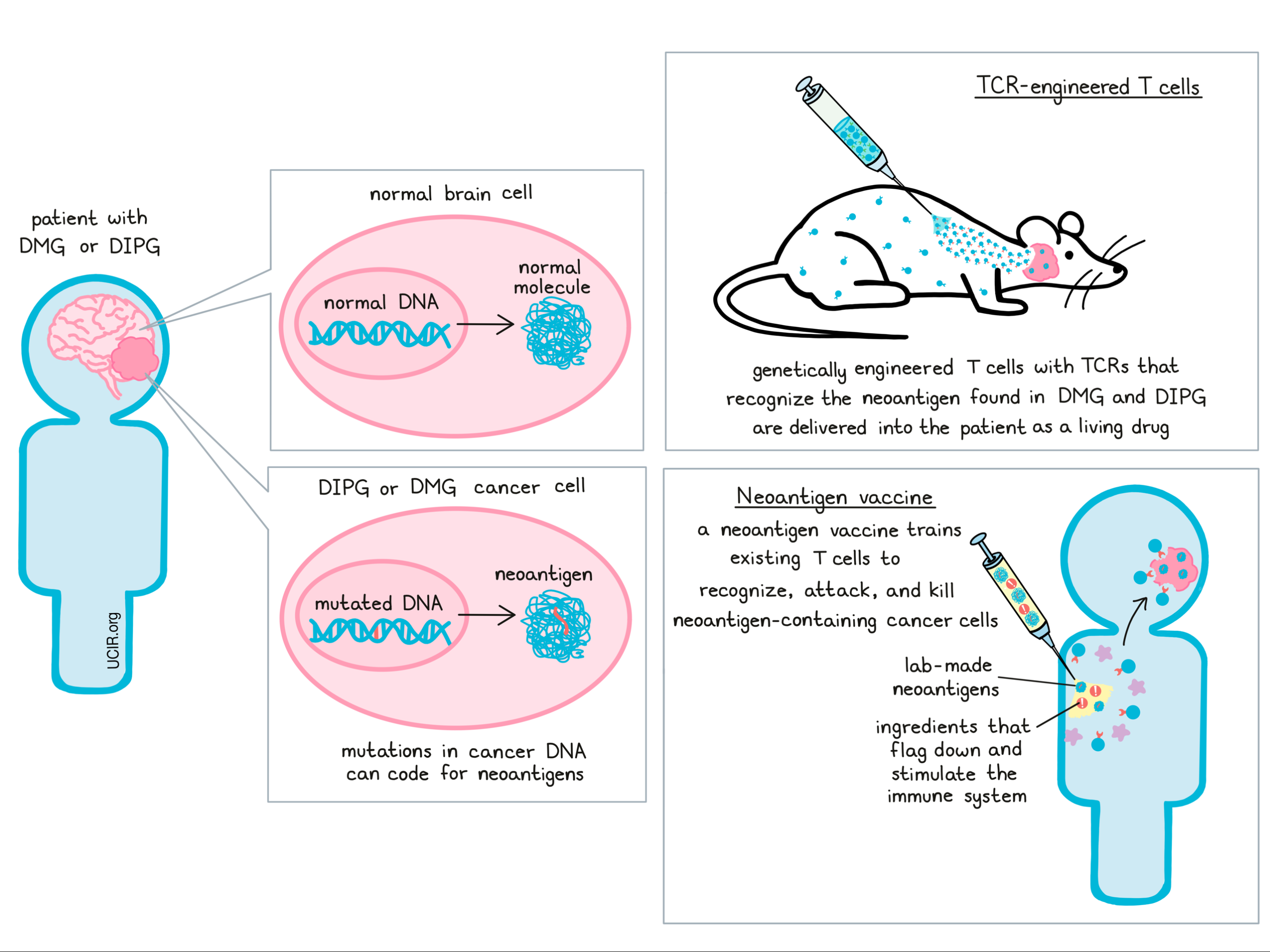 Two approaches share one common target: efforts to fight childhood gliomas