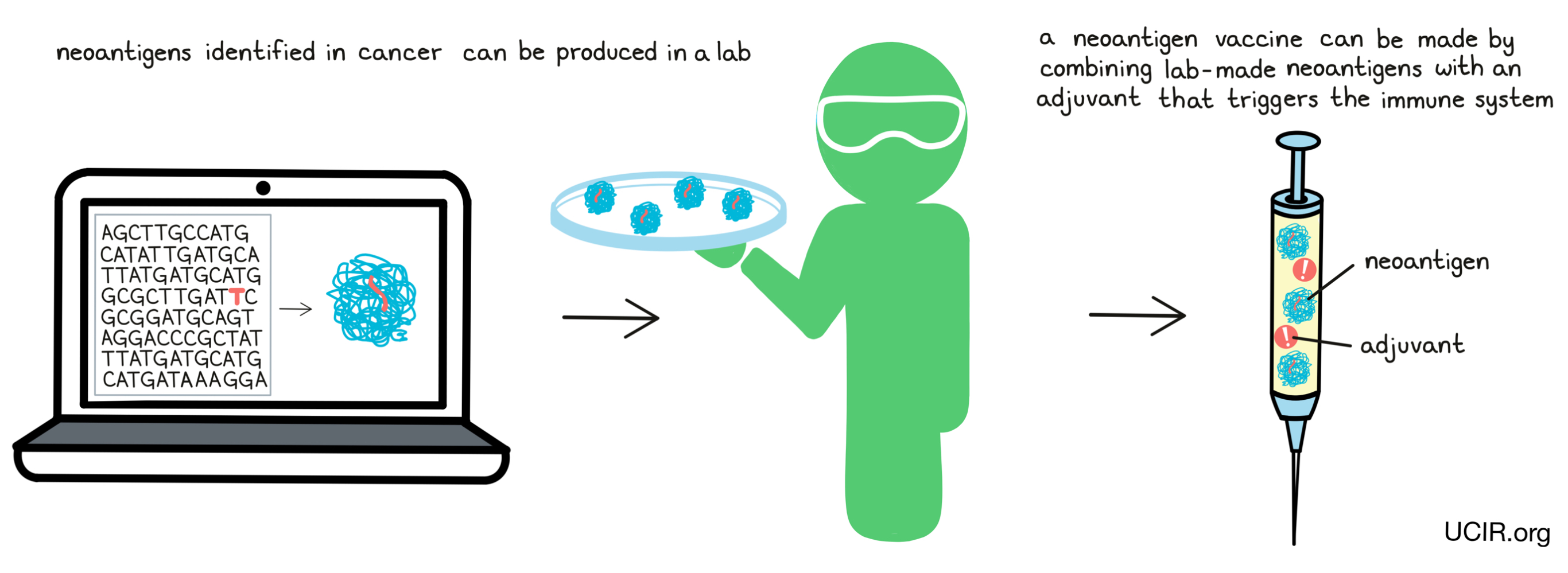 Illustration of lab produced neoantigens with added adjuvant