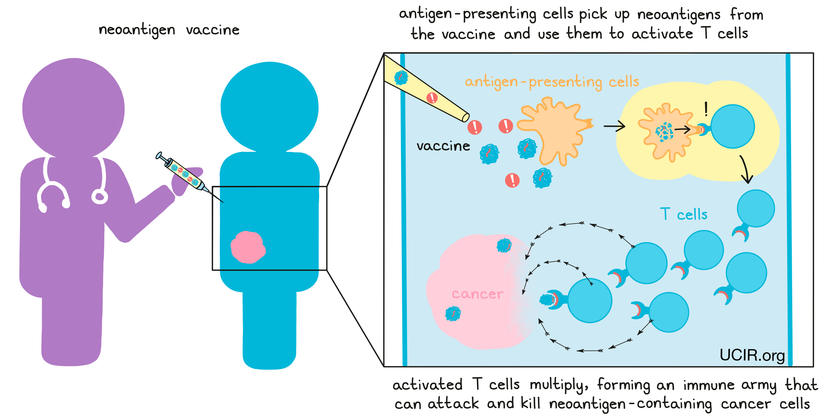 Cells at Work!: Cancer Is Back - and Stronger Than Ever