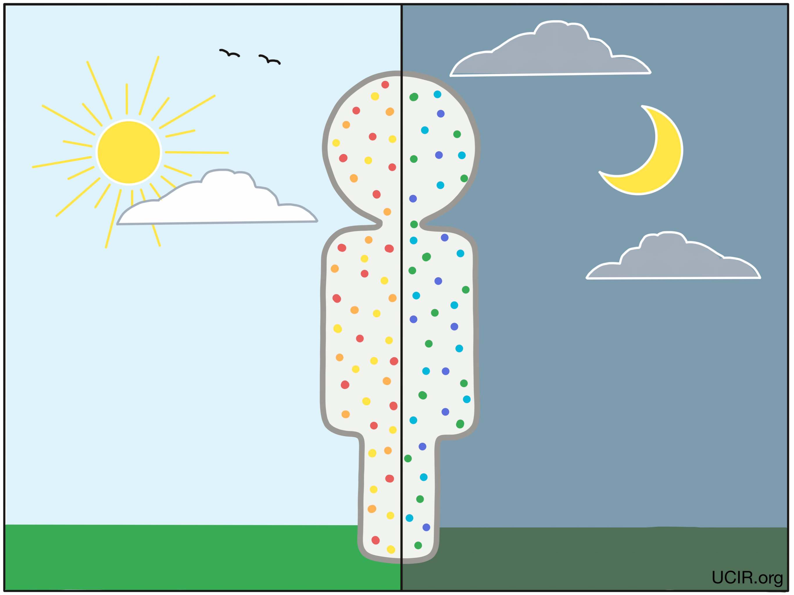 Morning, noon, or night? How circadian rhythms affect cancer and cancer immunotherapy 