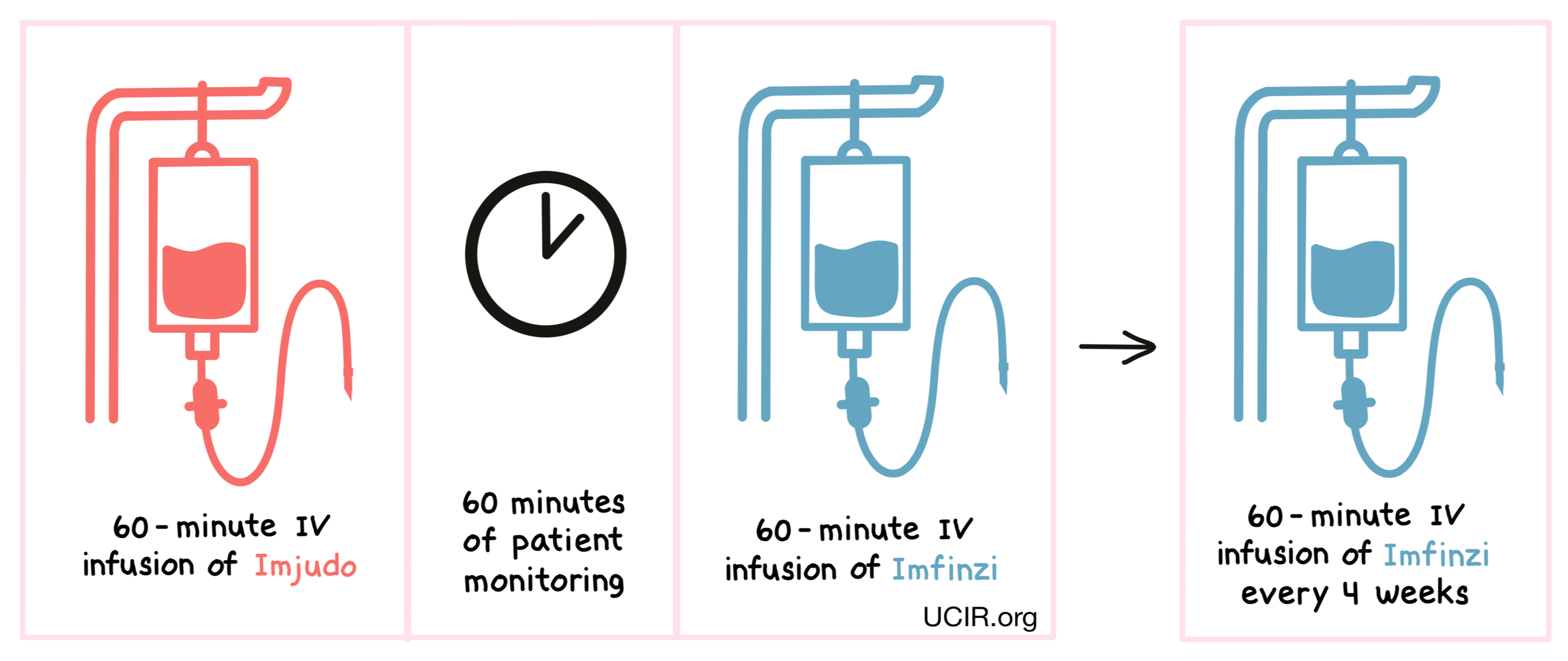 Illustration showing how Imjudo is administered for liver cancer patients