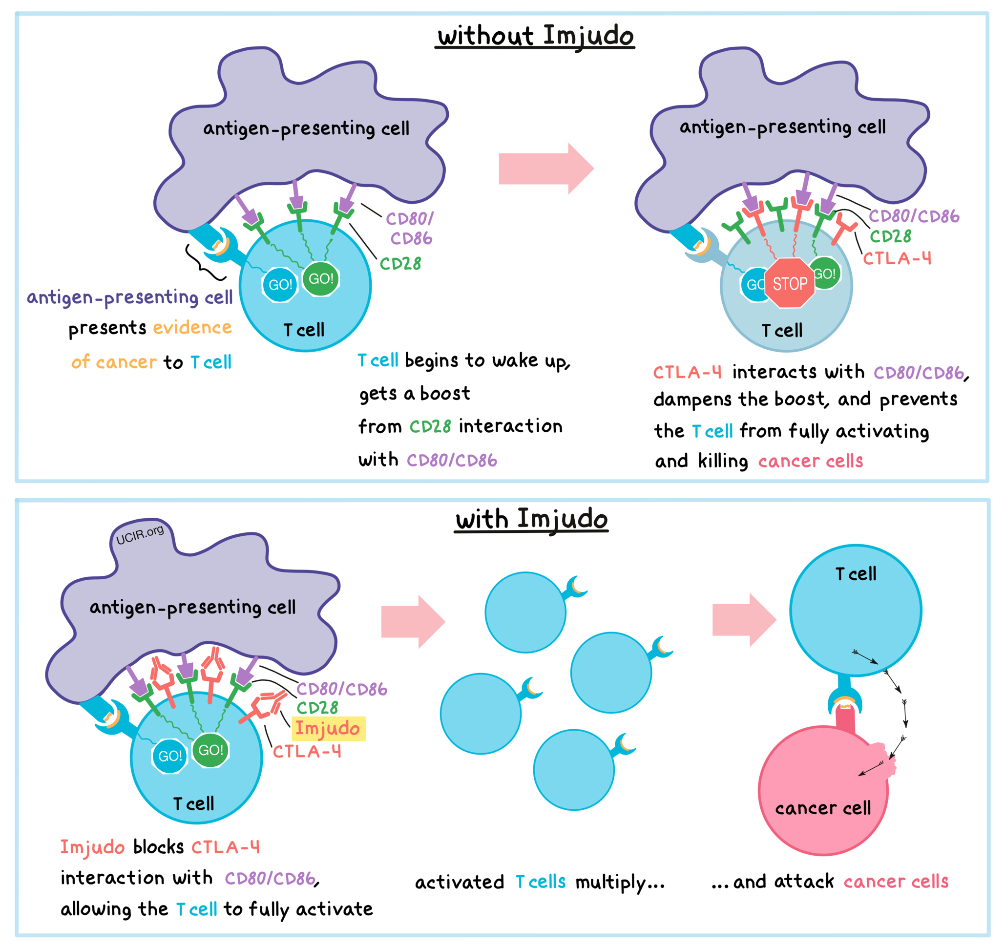 Illustration showing how Imjudo works