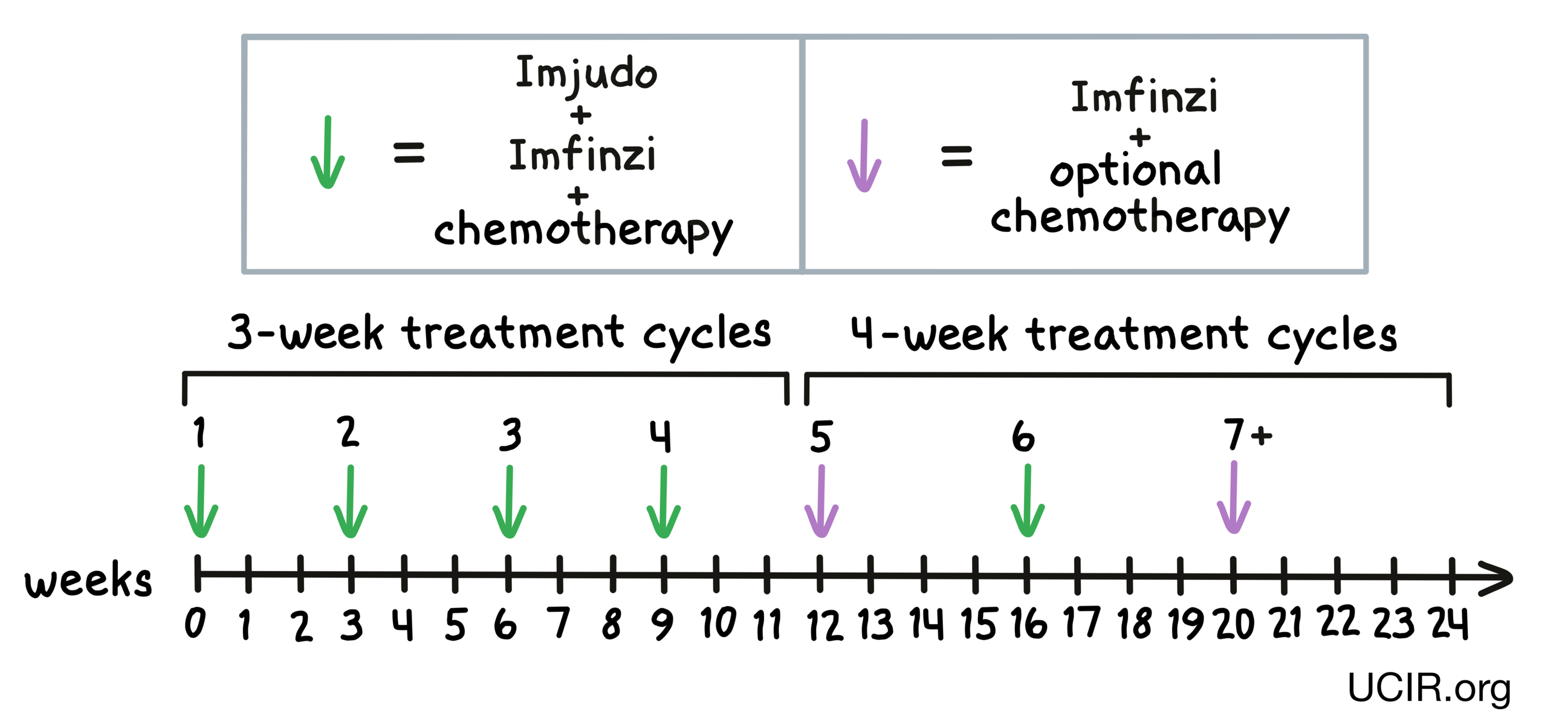 Illustration showing how Imjudo is administered to patients