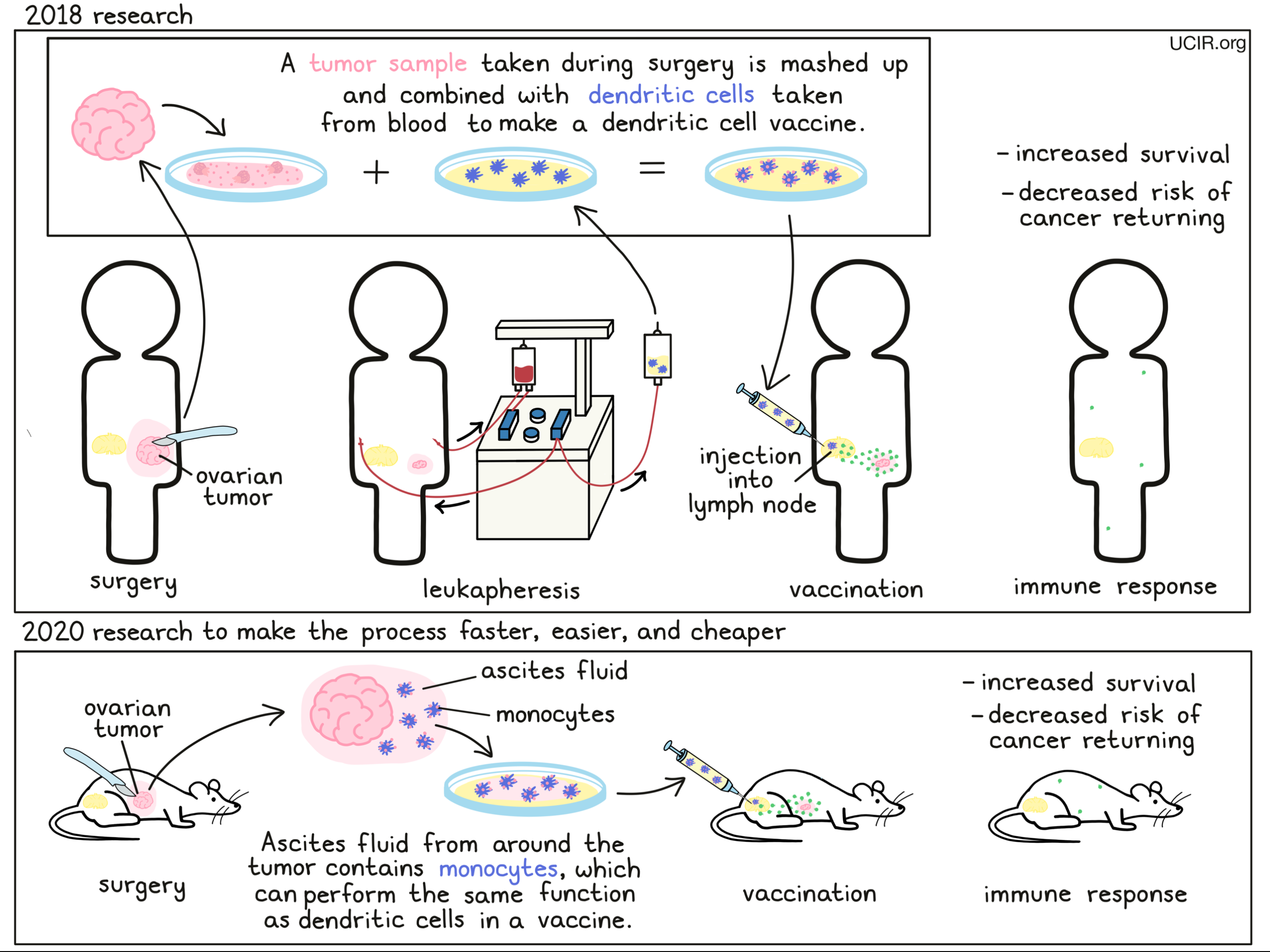 Can a cancer vaccine keep ovarian cancer at bay?