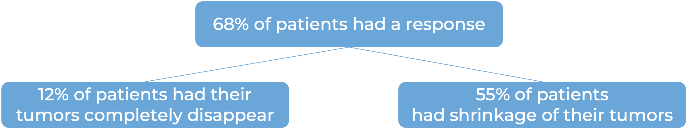 Results after treatment with Keytruda and Padcev (diagram)