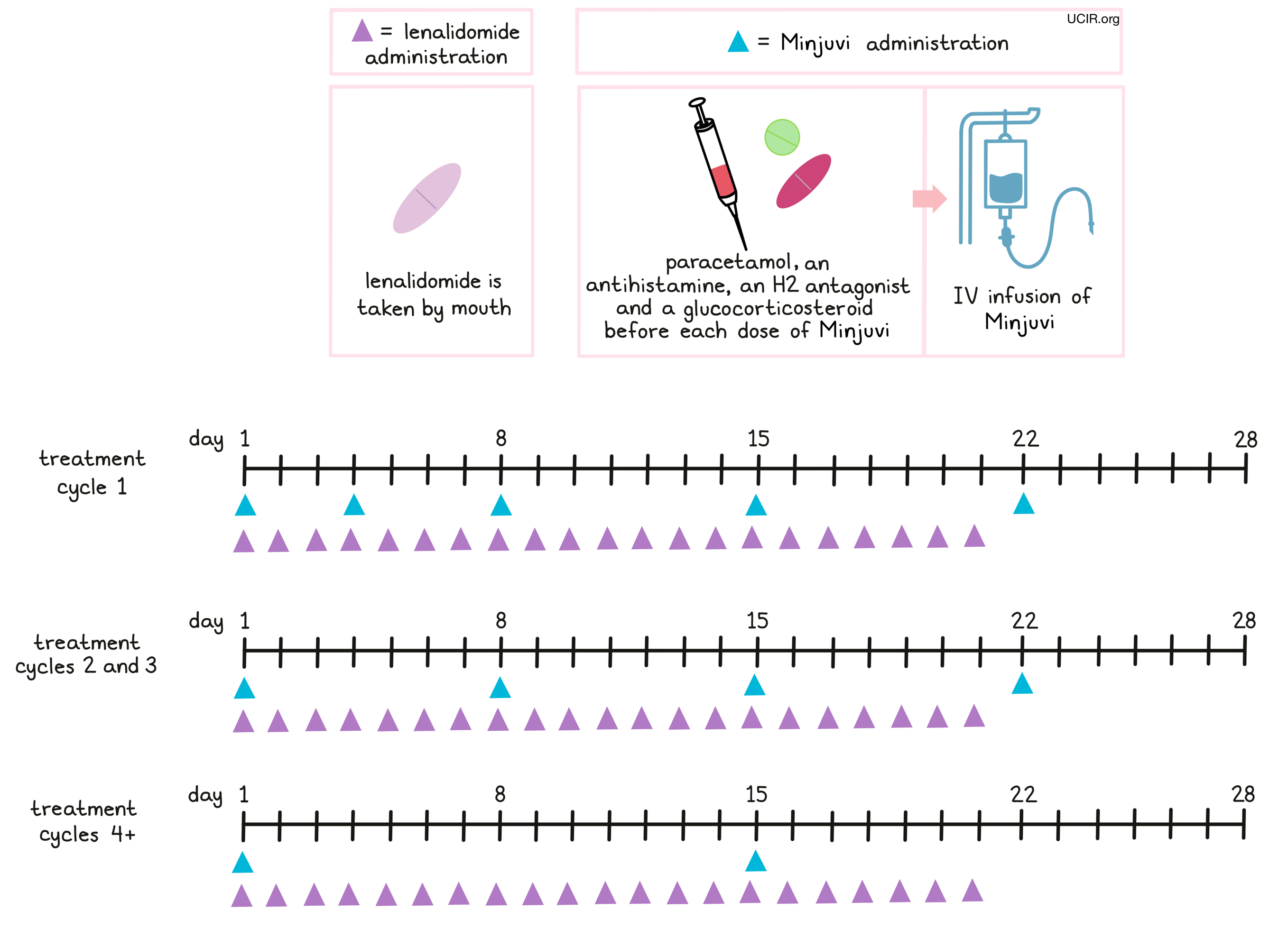 Illustration showing how Minjuvi is administered to patients