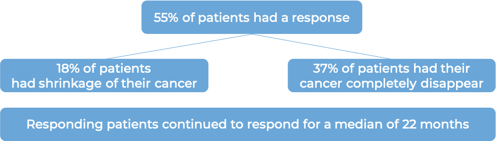 Results after treatment with Monjuvi (diagram)