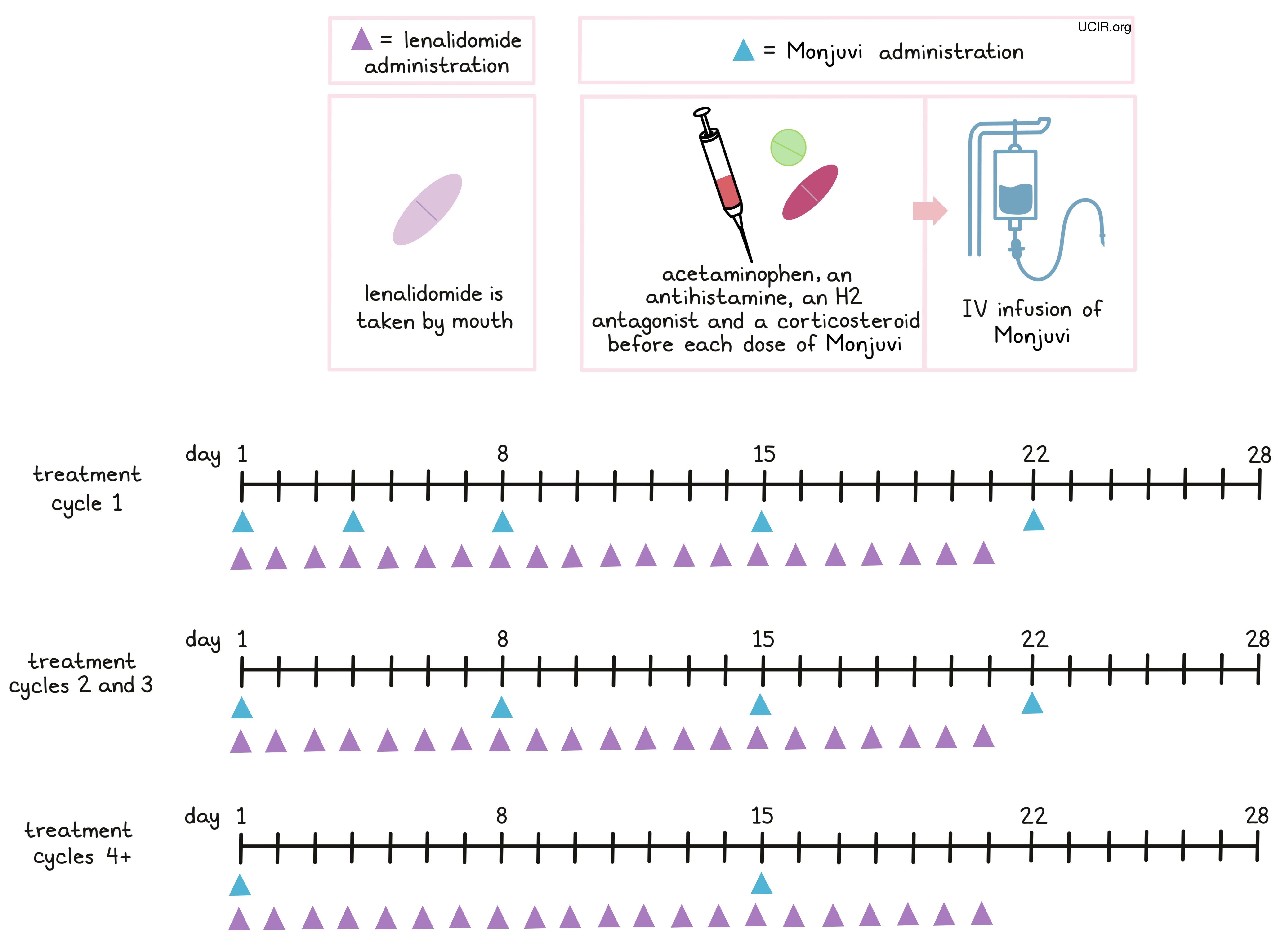 Illustration showing how Monjuvi is administered (diagram)