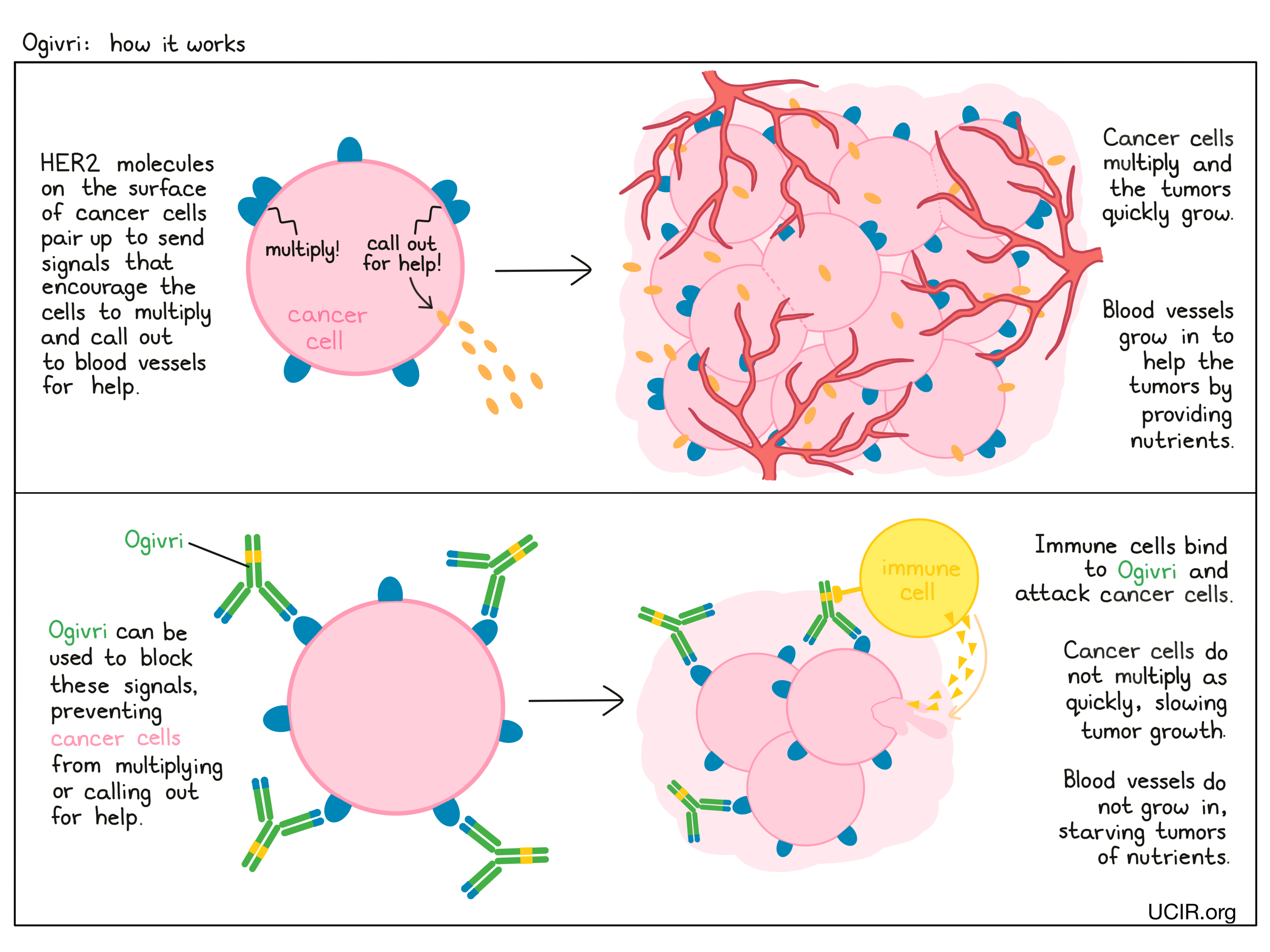 Illustration showing how Ogivri works