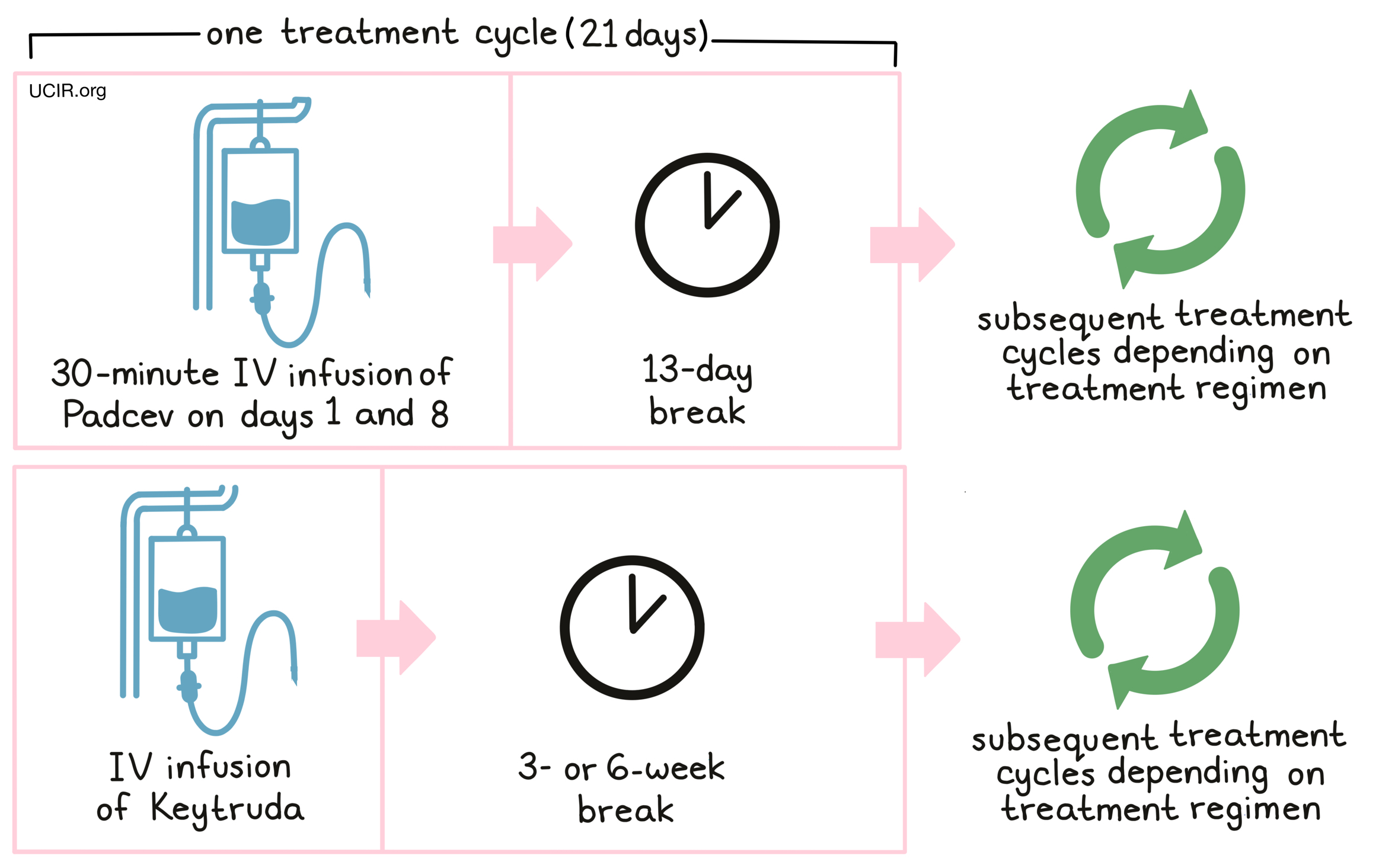 Image showing the method of administration for Padcev in combination