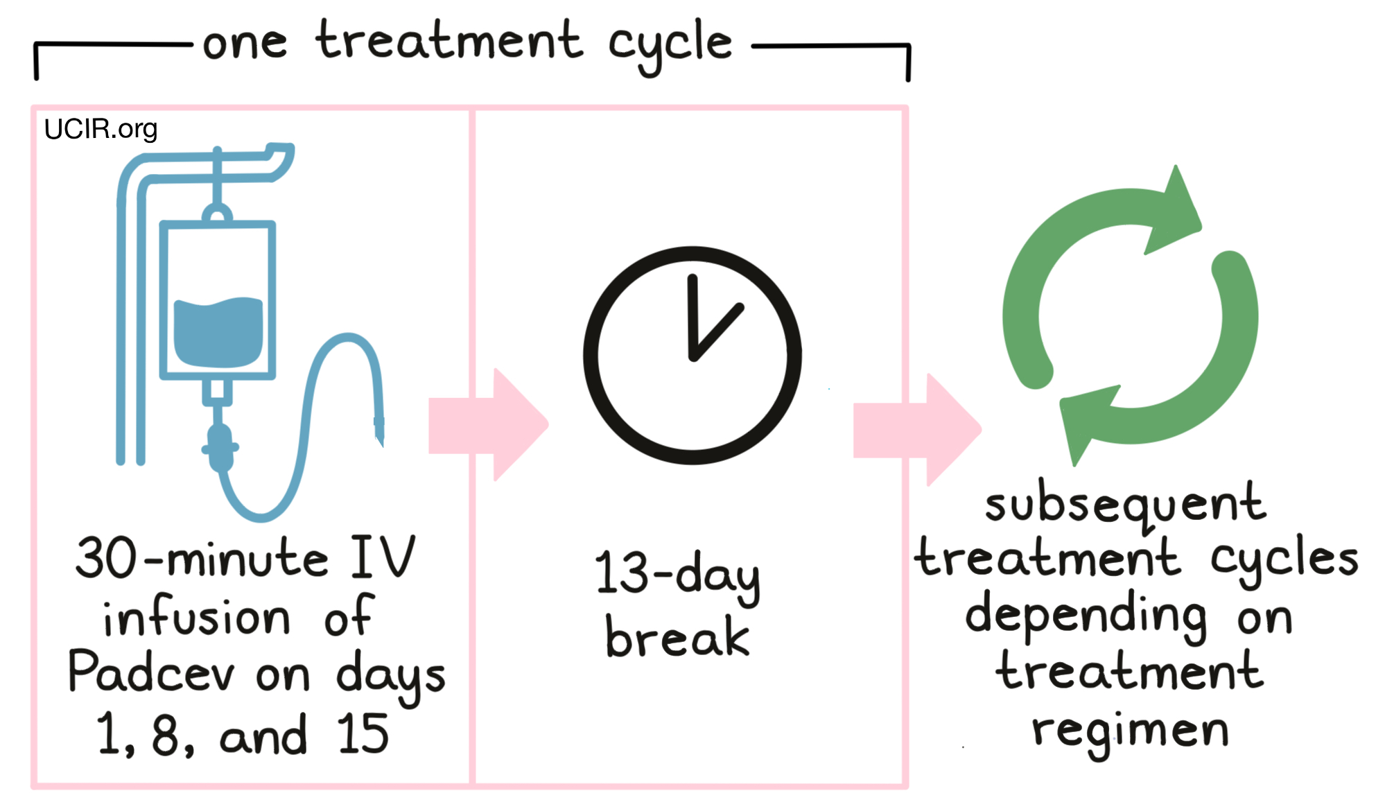 Illustration showing how Padcev is administered to patients