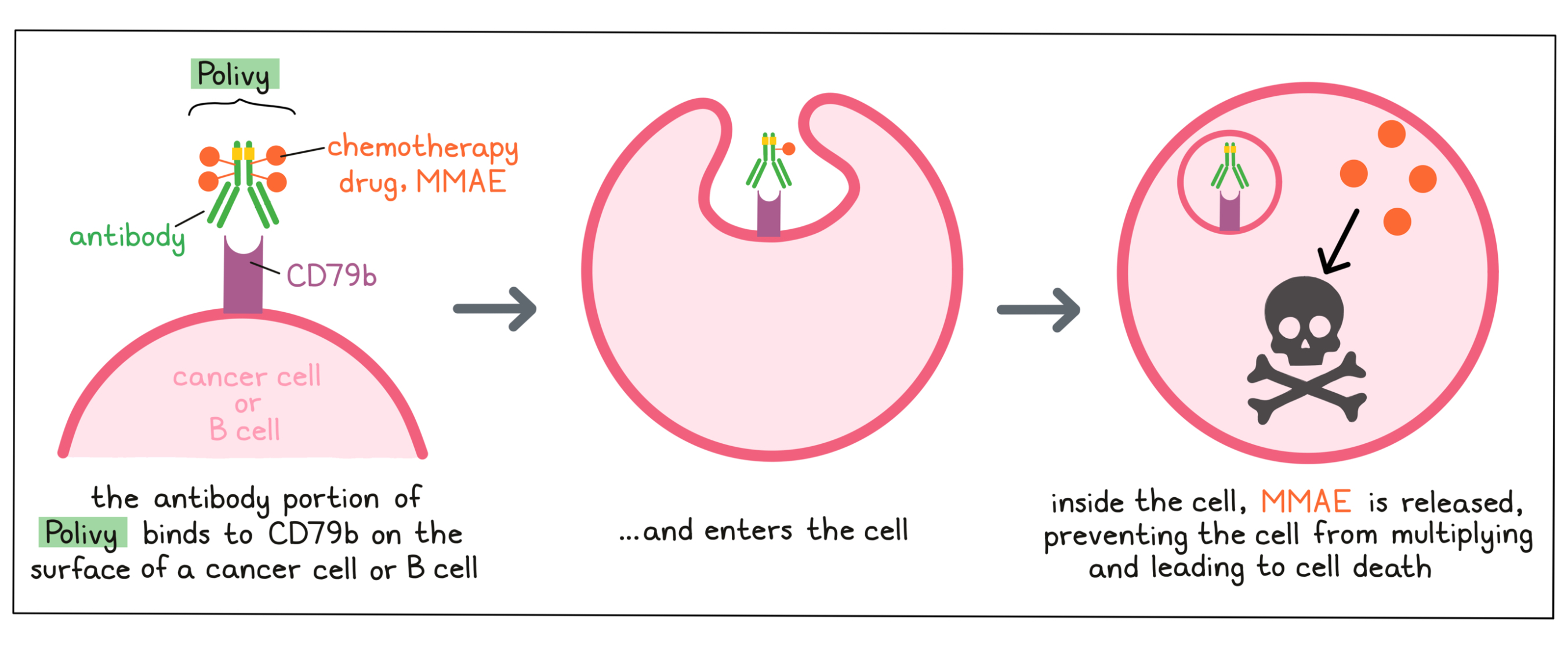 Illustration showing how Polivy works