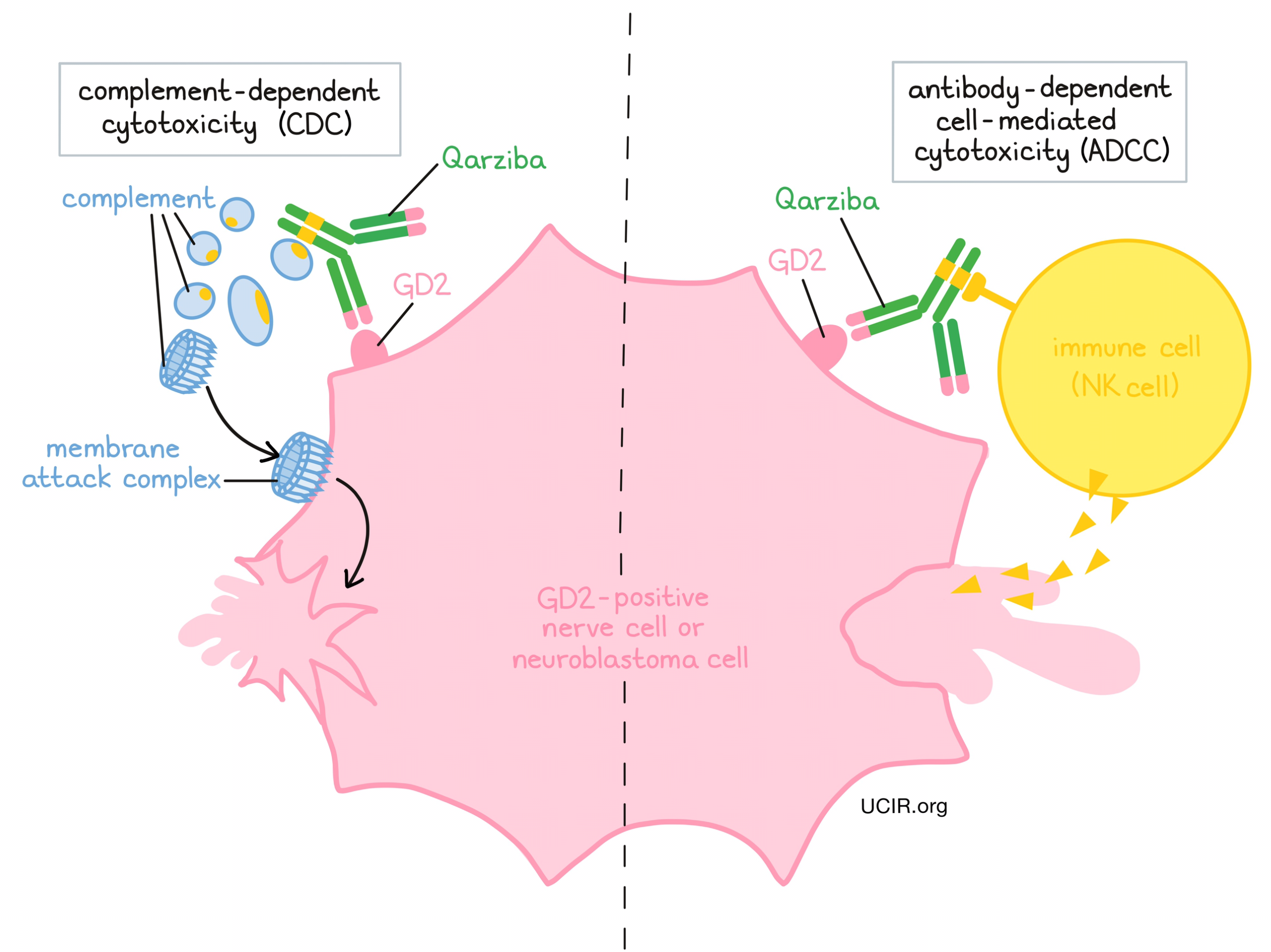 Illustration showing how Qarziba works