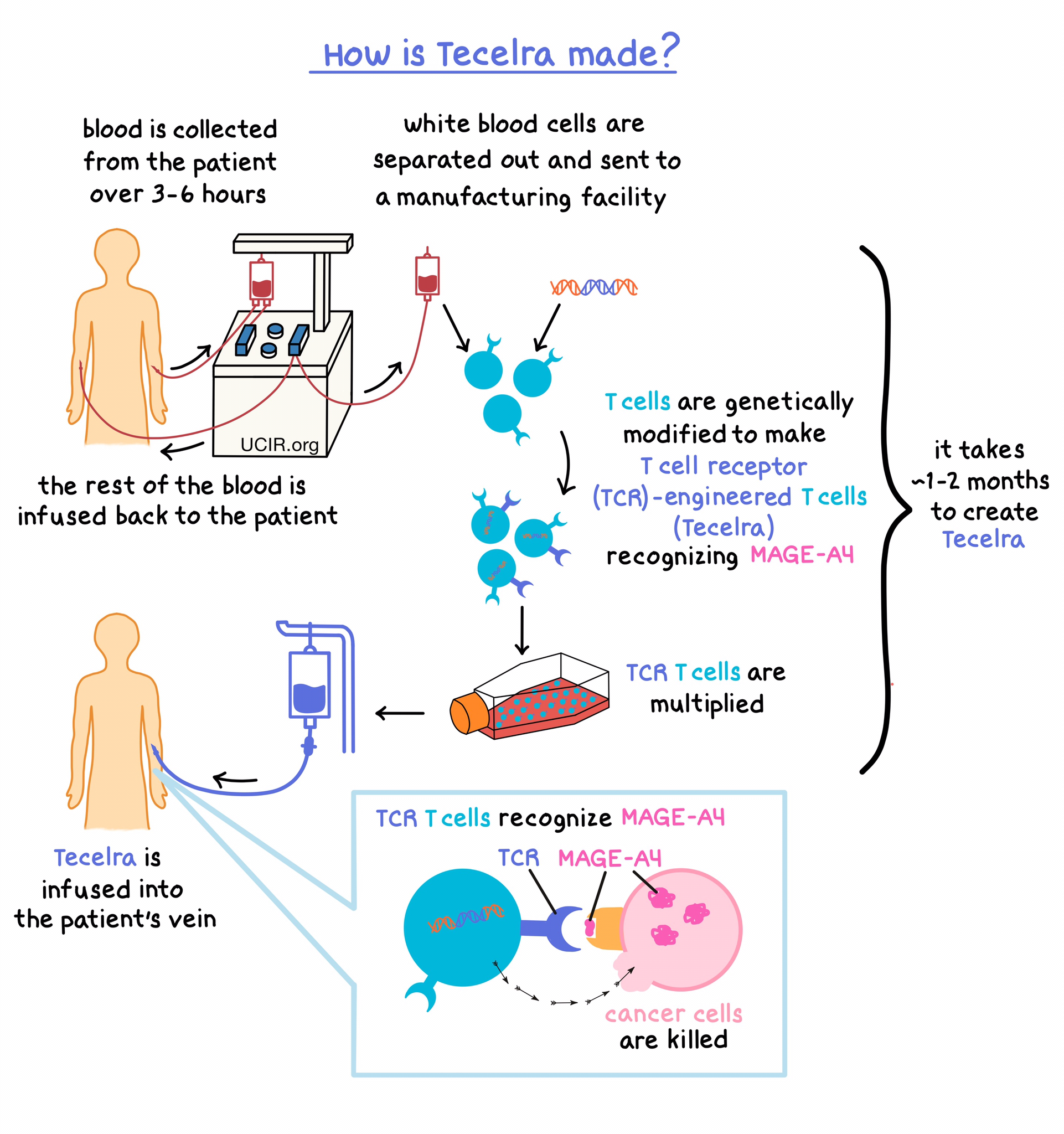 Illustration showing how Tecelra works 