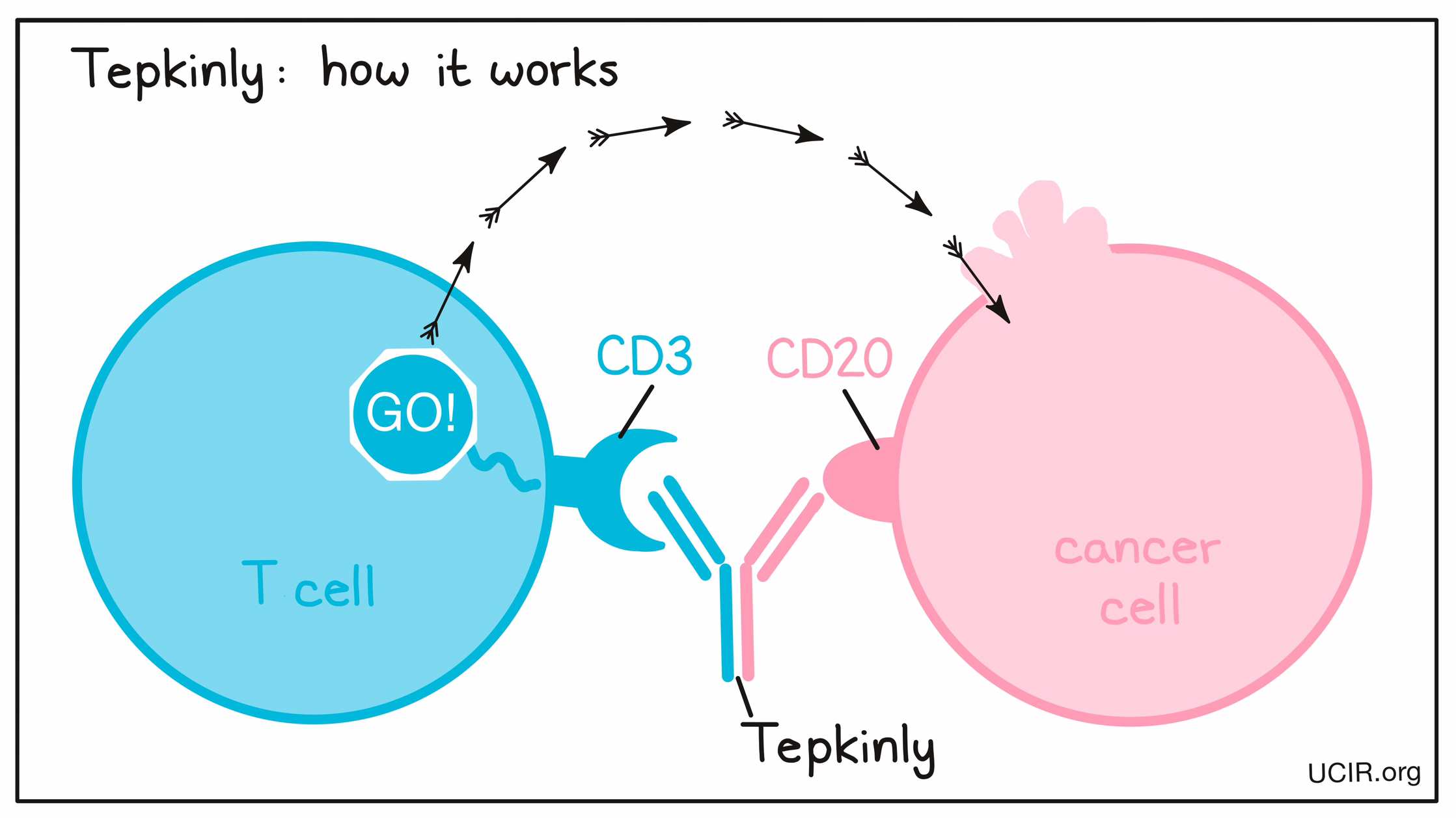 Illustration showing how Tepkinly works