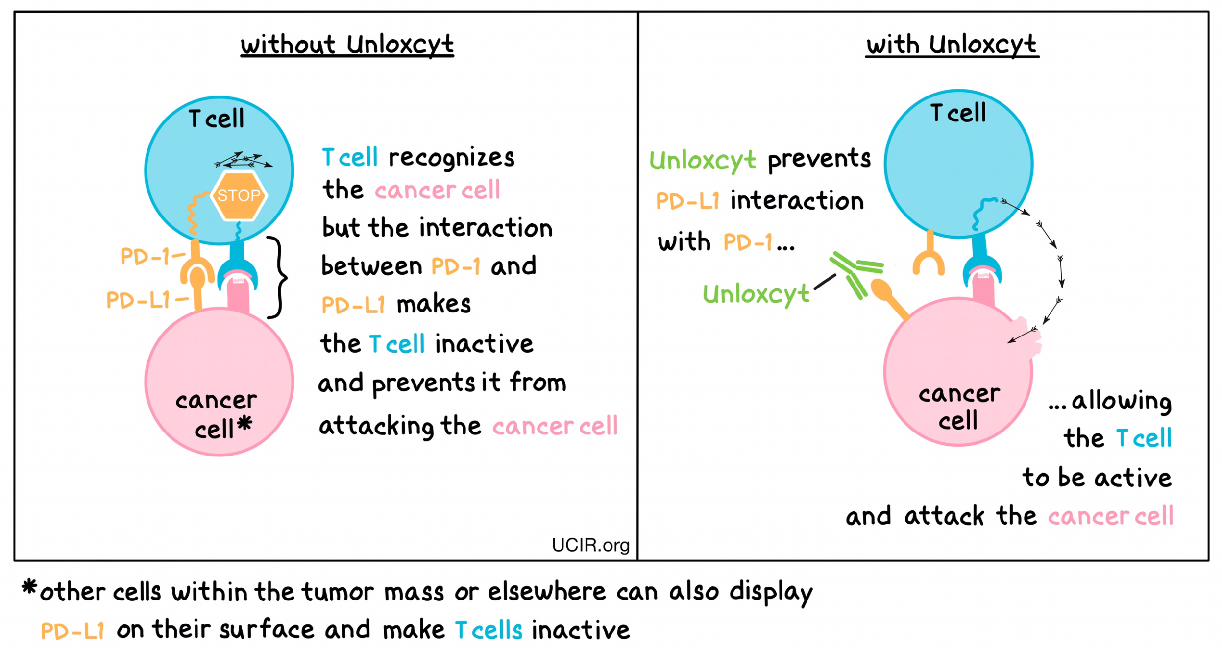 Illustration showing how Unloxcyt works