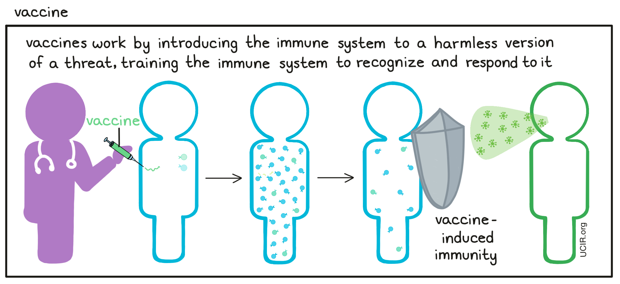 Vaccine illustrated