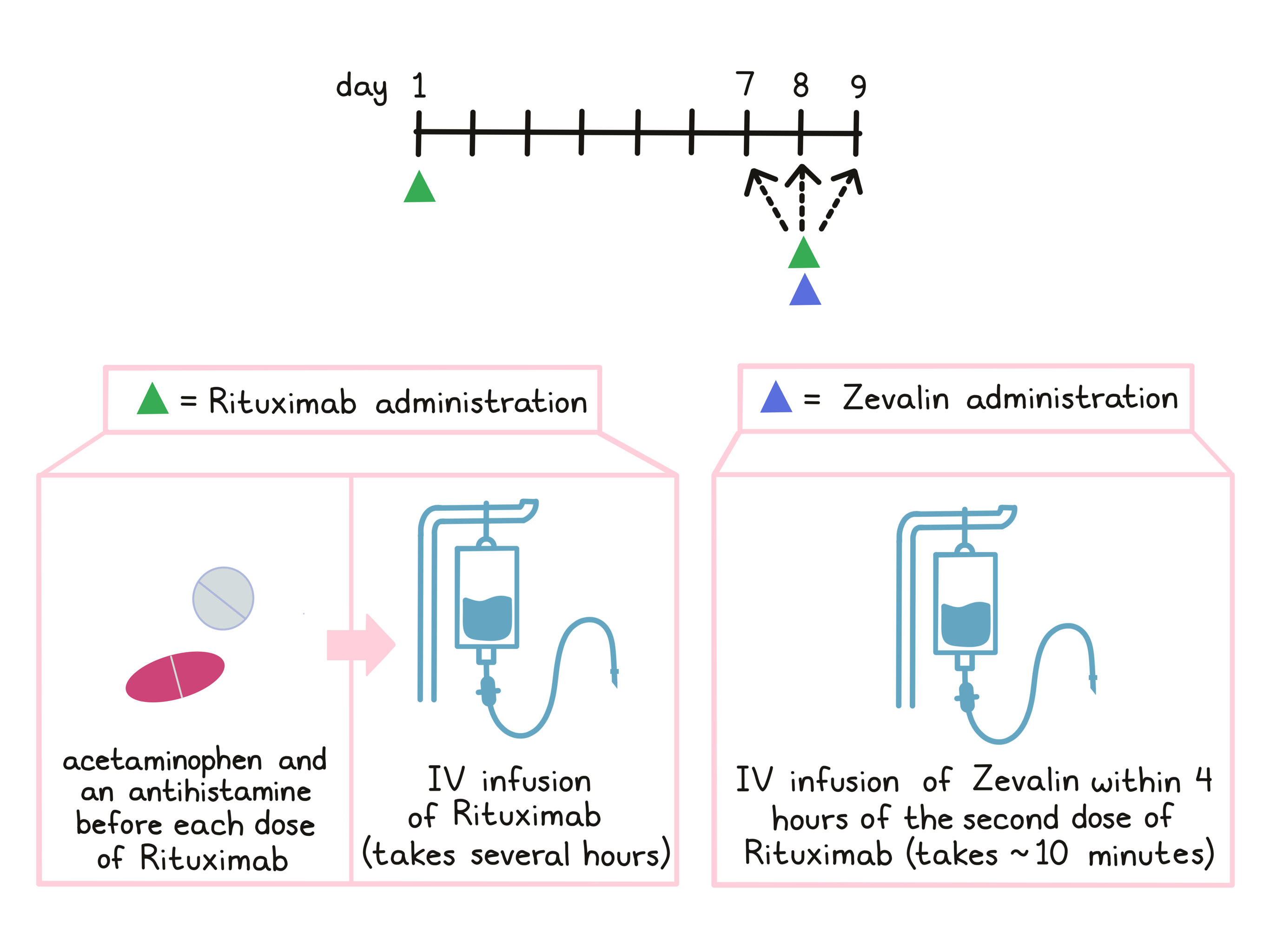 Illustration showing how Zevalin is administered Illustration showing how Zevalin is administered