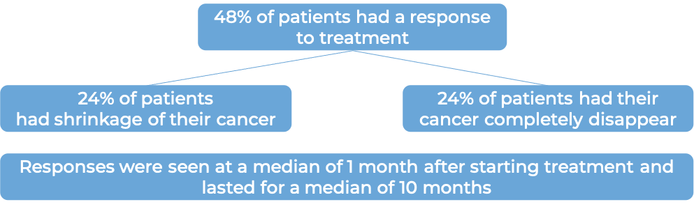 Results after treatment with Zynlonta (diagram)